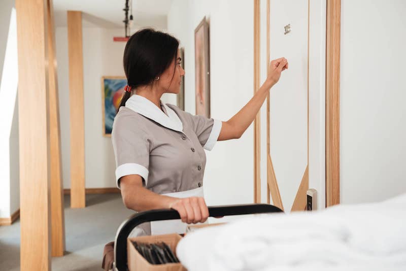 desinsectisation punaise de lit hotel 